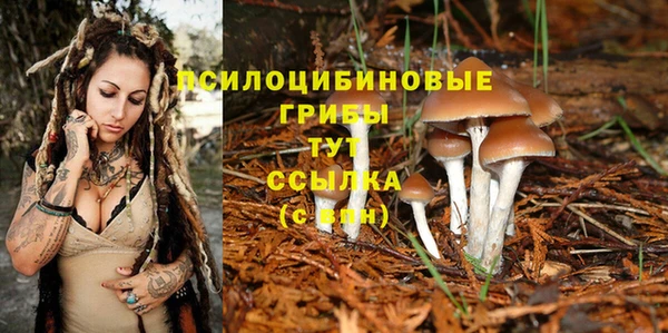 МДПВ Алексеевка